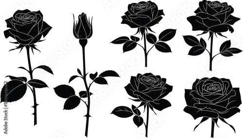Collection of black silhouette rose flowers and bud with white outlines on white background
