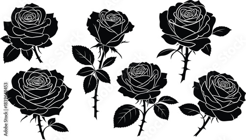 Collection of black silhouette rose flowers with stems and leaves white