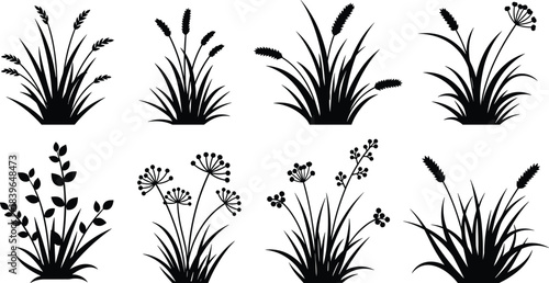 Collection of black silhouette grass and plant illustrations on white background