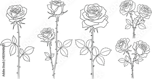 Collection of black and white line art drawings of roses with stems and leaves flower 1