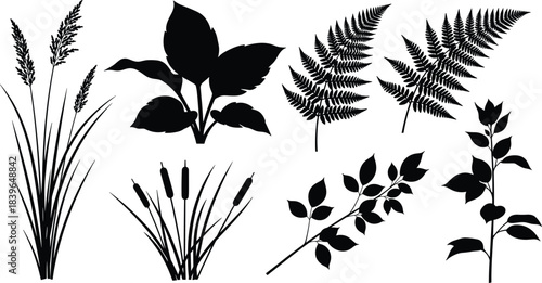 Black silhouette collection of various plants and leaves on white background leaf
