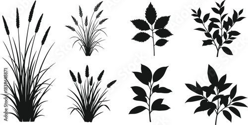 Black Silhouette Collection of Grasses and Leafy Branches on White reeds cattails