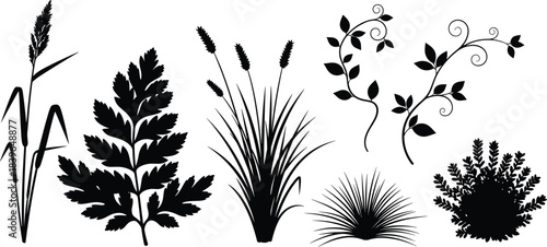 Black Silhouette Collection of Various Plants and Foliage Elements nature botanical
