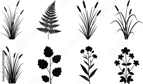 Black Silhouette Collection of Aquatic Plants Fern and Flowers on White Background