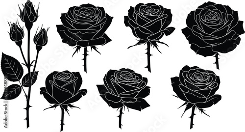 Black Rose Silhouettes with Thorns and Leaves on White Background floral flower