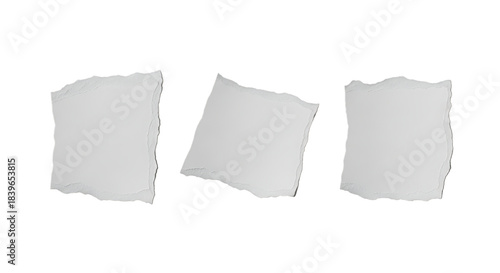 Wallpaper Mural Three white torn paper scraps on a solid for design Torontodigital.ca