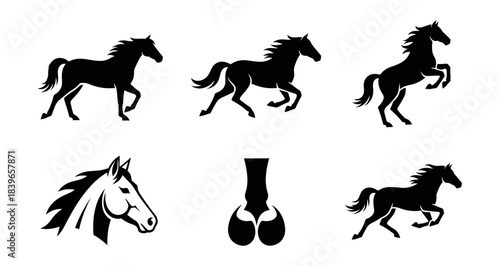 Abstract night sky with bright stars in deep black