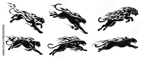 Cats fiery silhouette set. Panther tiger jaguar jumping fire flame, cat monochrome logo emblem design character image wild animal predator vector illustration
