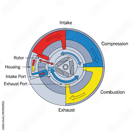 Rotary engine diagram illustrating intake, compression, combustion, and exhaust processes for effective understanding of rotary mechanics