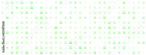 Green digital paw print pattern on a transparent background, creating a modern and abstract animal track design for pets