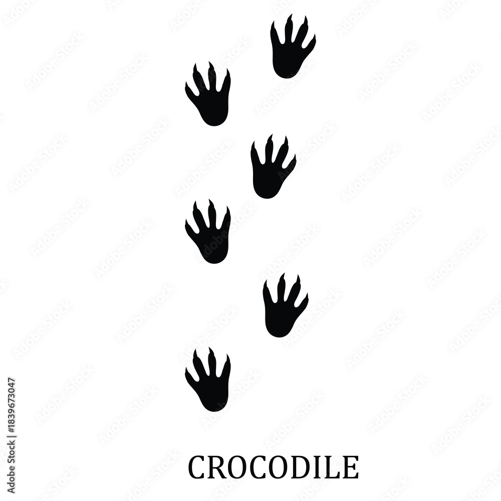 Fototapeta premium Crocodile Footprint Vector Illustration,Crocodile Track Mark Vector Illustration