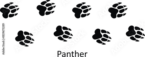 Black Panther Paw Print Vector Illustration,Black Panther Track Mark Vector Graphic