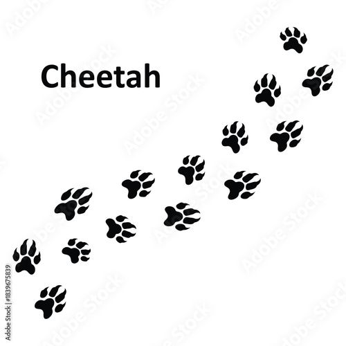 Cheetah Paw Print Vector Illustration,Animal Footprint Vector Illustration, Wildlife Footprint Track Symbol,