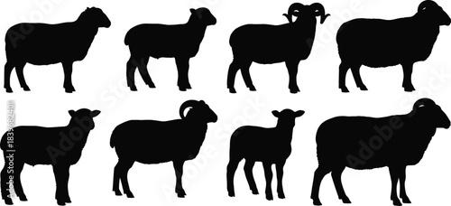 Collection of sheep silhouettes in various poses on transparent background