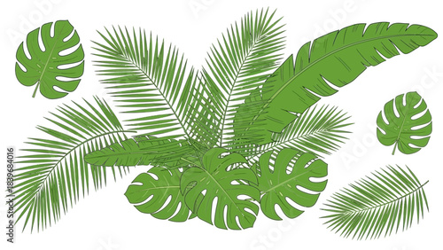 Tropical Foliage Illustration: Monstera and Palm Leaves Isolated on White Background
