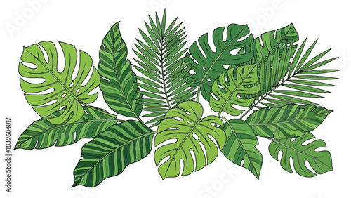 Lush Composition of Tropical Leaves, Featuring Monstera and Palm Elements