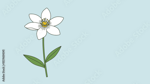 Delicate Meadowsweet Flower Illustration on a Soft Pastel Background for Design