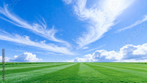 Sunlit Green Field with Cirrus Clouds and Blue Sky