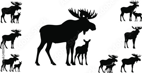 Silhouettes of moose families roaming in a natural wildlife scene