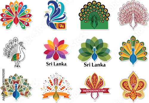 Colorful Peacock Tail Graphic Vector Set