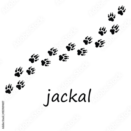 Jackal Paw Print Line Icon – Trendy Wildlife Vector for Web and App UI,Jackal Paw Print Modern Line Art Icon