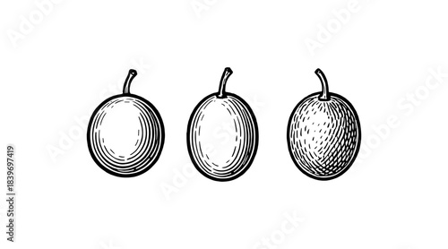 Detailed illustration of three stylized passion fruit in black and white