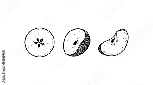 Hand-drawn apple slices illustration in black and white, perfect for design projects