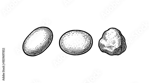 Engraved illustration of three stones, pebbles, and a rock in black and white