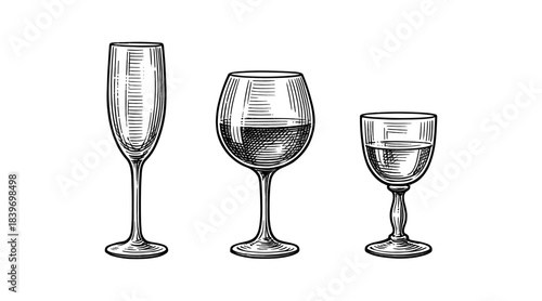 Elegant wine glasses illustration in a classic engraved style on a white background