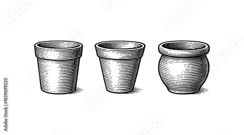 Detailed illustration of three different flower pots in a classic engraving style