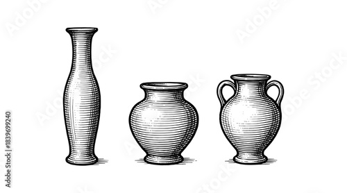 Detailed illustration of three antique vases in a classic engraving style