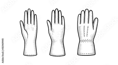 Detailed hand-drawn illustration of three gloves in a vintage engraving style