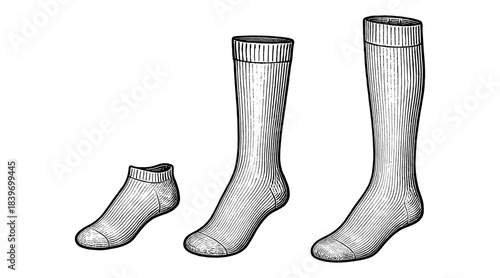 Illustration of three different socks in a detailed, vintage engraving style