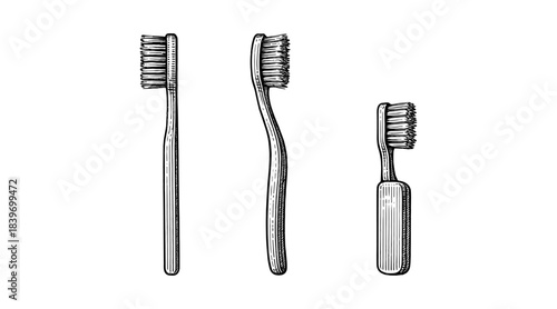 Detailed illustration of three different toothbrushes on a white background