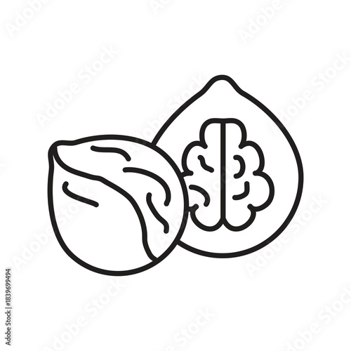 Walnut Vector Icon Set for UI Design,Walnut Nut Icon Collection Vector Illustration