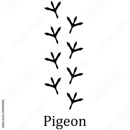 Pigeon Paw Print Vector Illustration,Animal Footprint Vector Illustration, Porcupine Paw Print Silhouette Vector.