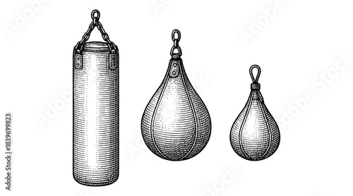 Hand-drawn boxing equipment illustration in a classic engraving style