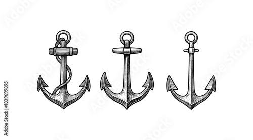Detailed nautical anchor illustrations in a classic engraved style on white background