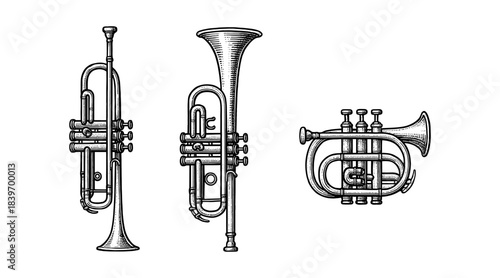 Detailed illustration of three different brass instruments on white background