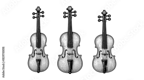 Detailed illustration of three violins in a row, isolated on a white background
