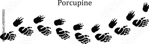 Porcupine Paw Print Vector Illustration,Animal Footprint Vector Illustration,Wild Animal Footprint Track Symbol.