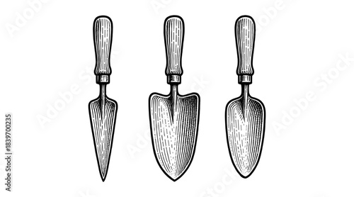 Engraved garden trowels illustration in black and white, isolated on white background