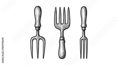 Vintage Garden Forks Illustration in Detailed Engraved Style