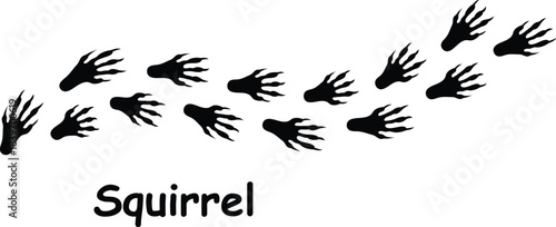 Squirrel Paw Print Vector,Squirrel Paw Mark Illustration,wild animal paw prints on white background.