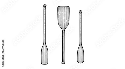 Detailed illustration of three oars, perfect for boating and water sports