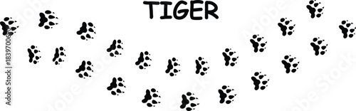 tiger paw print simple illustration for web and app.eps