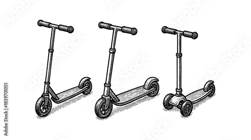 Engraved illustration of three different kick scooters on a white background