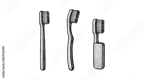 Detailed black and white illustration of three toothbrushes on a white background