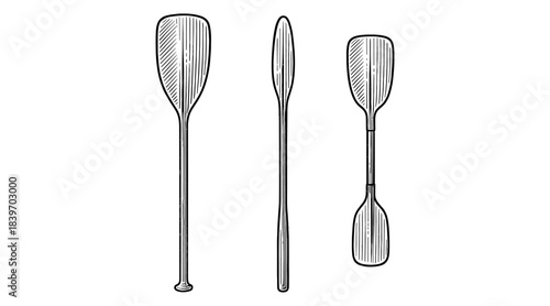 Detailed illustration of three oars in different positions against a white background
