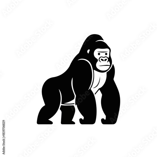 A massive and imposing vector silhouette of a gorilla standing upright, showcasing its broad shoulders and powerful form